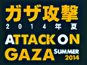Attack on Gaza Summer 2014
